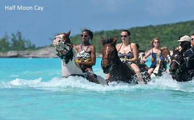 Half Moon Cay horseback